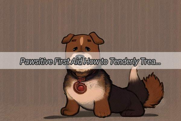 Pawsitive First Aid How to Tenderly Treat Your Dogs Leg Wound and Foster a Swift Recovery